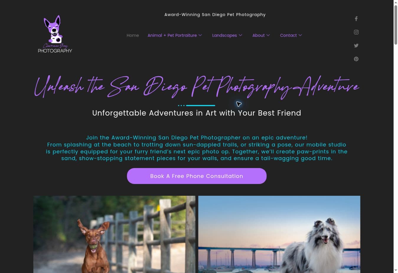 Charmaine Gray Photography website showing a visually led pet-photography homepage